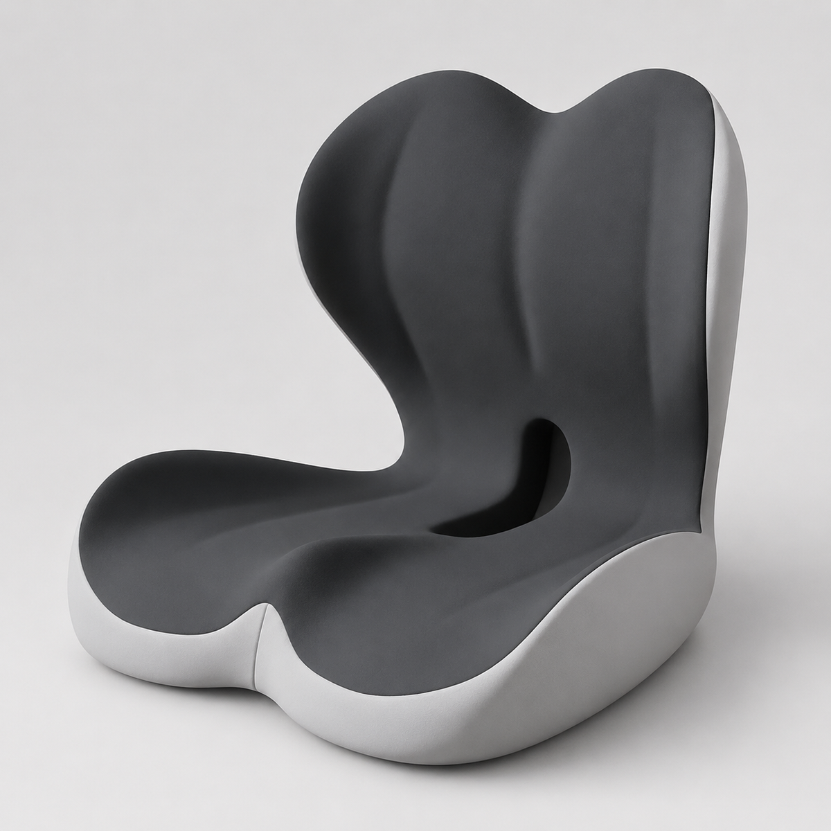 Aarna Integrated Seat & Back Support Cushion Aarna