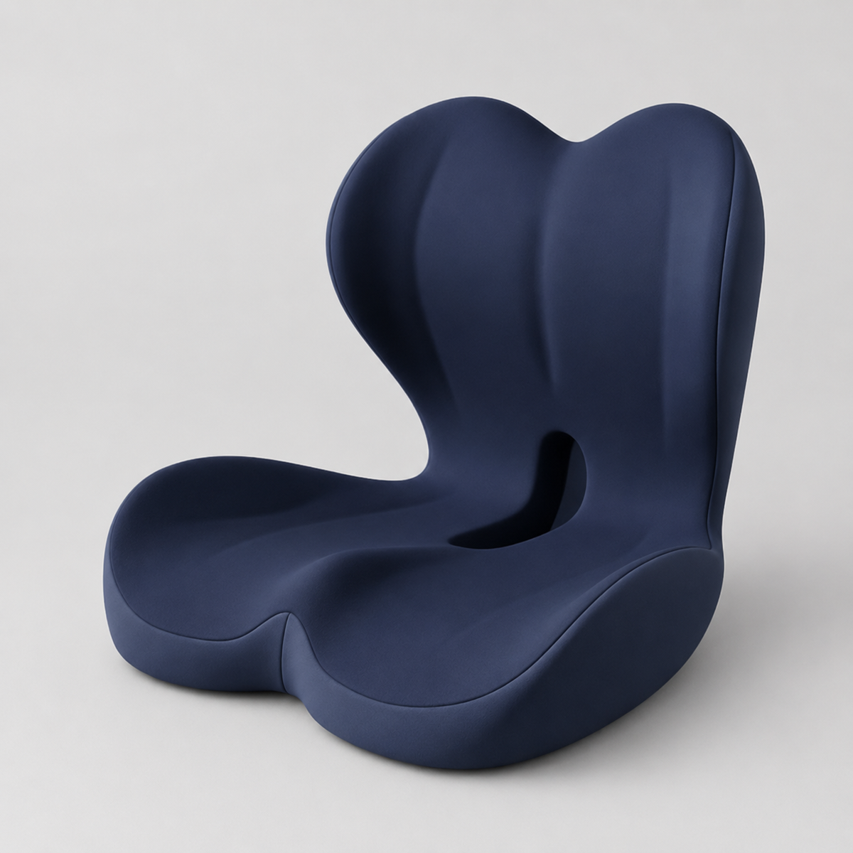 Aarna Integrated Seat & Back Support Cushion Aarna