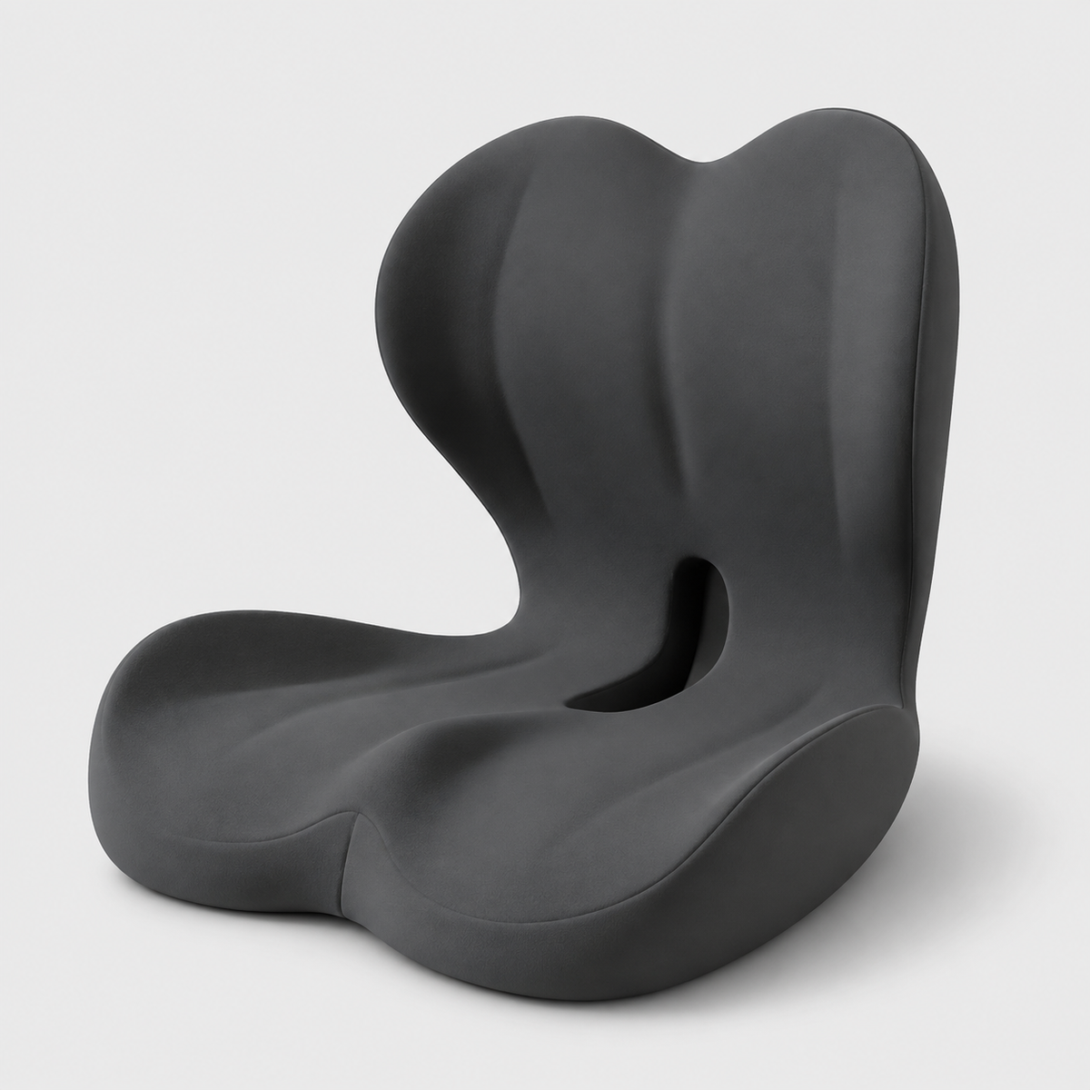 Aarna Integrated Seat & Back Support Cushion Aarna